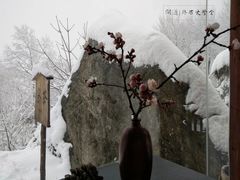 -终南山国家森林公园