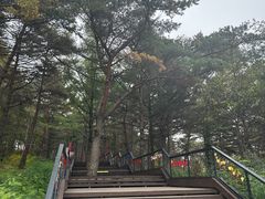 -帽儿山国家森林公园