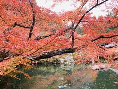 -醍醐寺