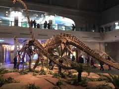 -自贡恐龙博物馆