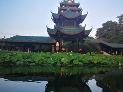 -桂湖森林公园