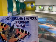 -上海昆虫博物馆
