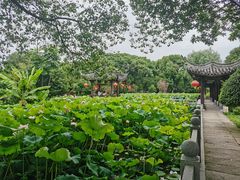 -丝绸小镇荻港古村