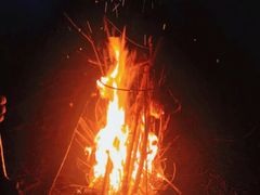 -前小桔亲子创意农场·草莓采摘·露营烧烤