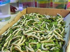 -双季花艺园艺市场(浦东店)