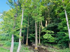 -东钱湖旅游度假区