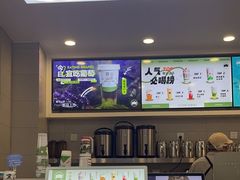 -雾与山茶(大禹城店)