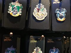 -哈利波特魔法世界
