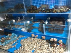 水产区-云南巷海鲜大咖·可加工海鲜