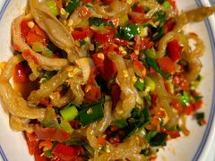 -壹盏灯(惠农店)