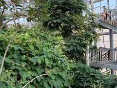 -郑州植物园