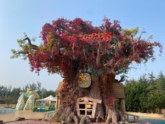 -青岛方特梦幻王国