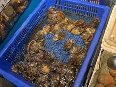 -拉完海鲜大排档(温岭店)