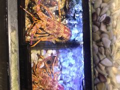 -金唐海鲜酒家