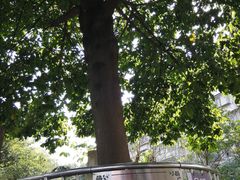 -广州神农草堂中医药博物馆