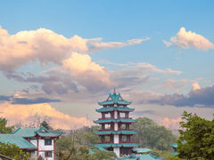 -桂湖森林公园