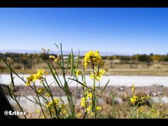 -日月山景区