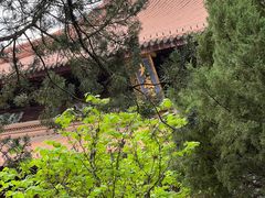 -苏州文庙(姑苏区)