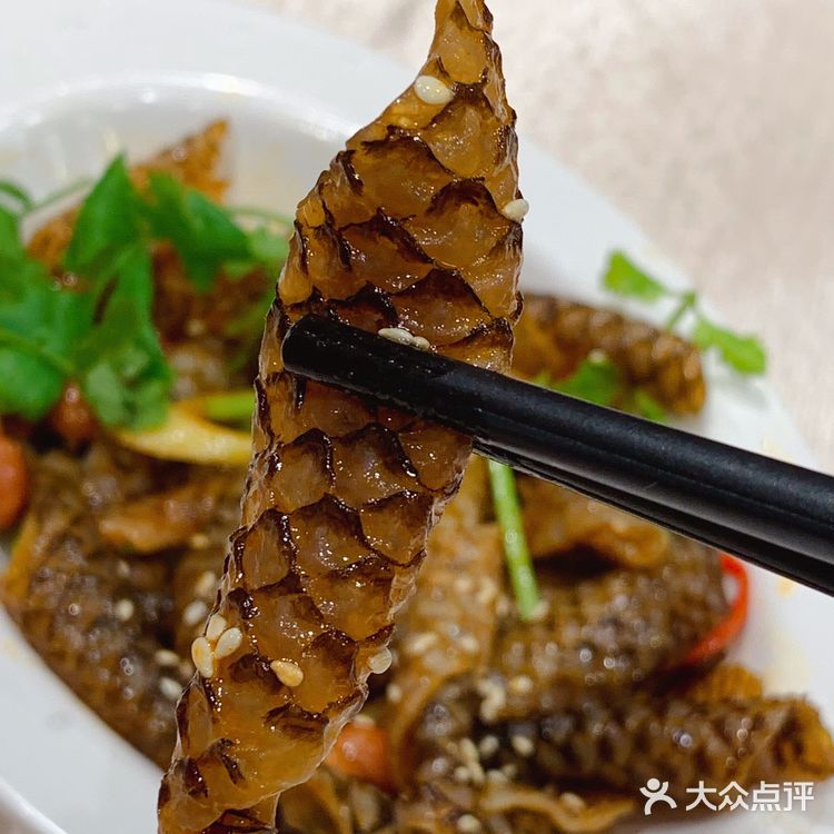 美食探店 | 来铭少吃白切鸡