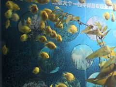 -福州罗源湾海洋世界旅游区