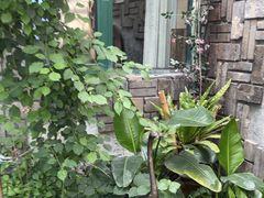 -慢丽江·云南野生菌土鸡锅(付家庄店)
