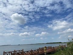 -莲花岛景区