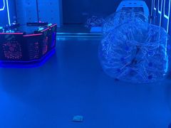 -世代星球·保龄球·镭战真人CS·团建(杨浦店)