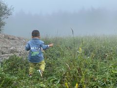 -白草畔自然风景区
