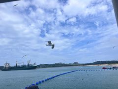 -海驴岛(荣成市)