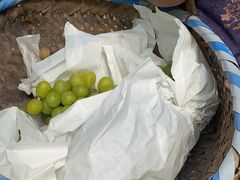 -马陆小张葡萄园农家乐