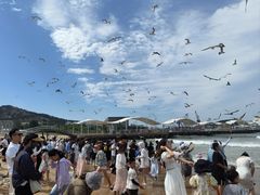 -海驴岛(荣成市)