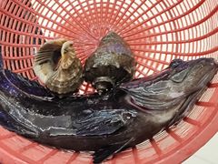 -鑫鸿达·海鲜闽菜热炒小馆(中山路店)