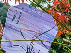 -广州市帽峰山景区