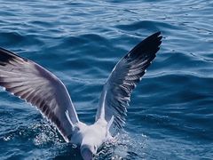 -丽江泸沽湖景区