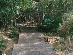 -紫金山山顶公园