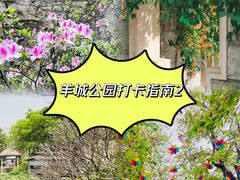 -海珠湖公园