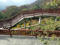 -广州市石门国家森林公园