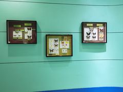 -上海昆虫博物馆