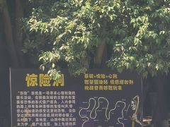-西安市长乐公园