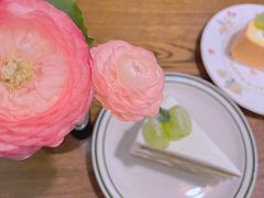 -竹子咖啡bamboo coffee