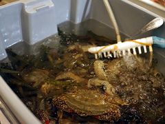 -佰园全日西餐厅-厦门佰翔软件园酒店