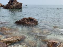 -燕窝岭