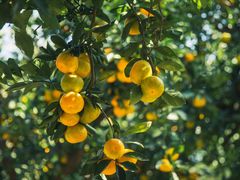 -滨江森林公园-真人CS野战场