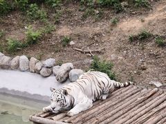 -石家庄市动物园