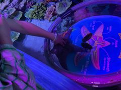 -暹罗海洋世界
