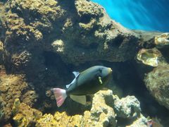 -锦艺城海洋馆