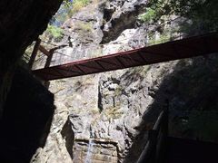 -牛背梁国家森林公园