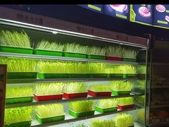 -番食园鲜食火锅(高新店)