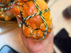 -七的湖·江南蟹舫·阳澄湖农家菜(蟹舫苑店)
