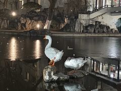 -舜耕山庄四时万和自助餐厅